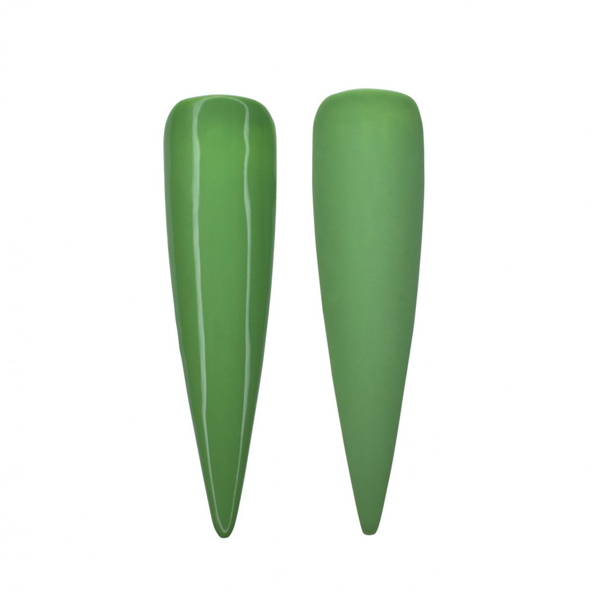 GARDEN GREEN